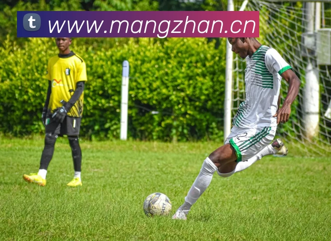 体育网官网登录入口APP 封面图